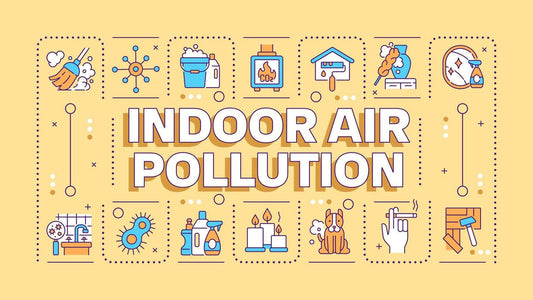 Understanding CO2 Levels: What Indoor PPM Really Means and Its Impact on Your Health