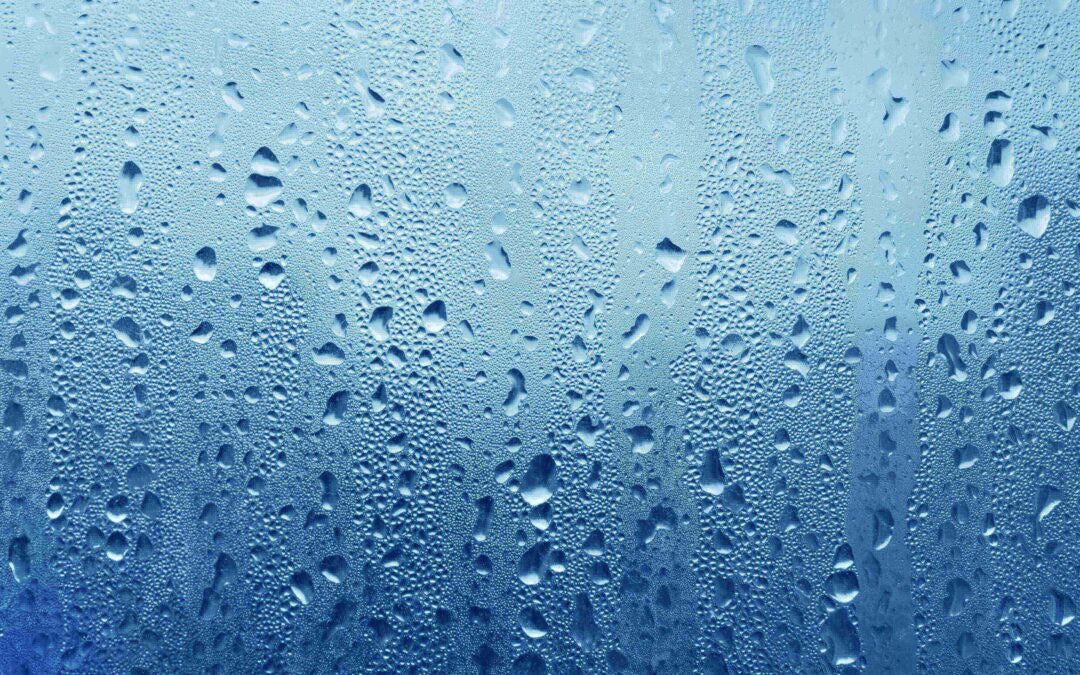 How Humidity Affects Energy Bills and Mold Growth