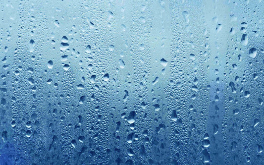 How Humidity Affects Energy Bills and Mold Growth